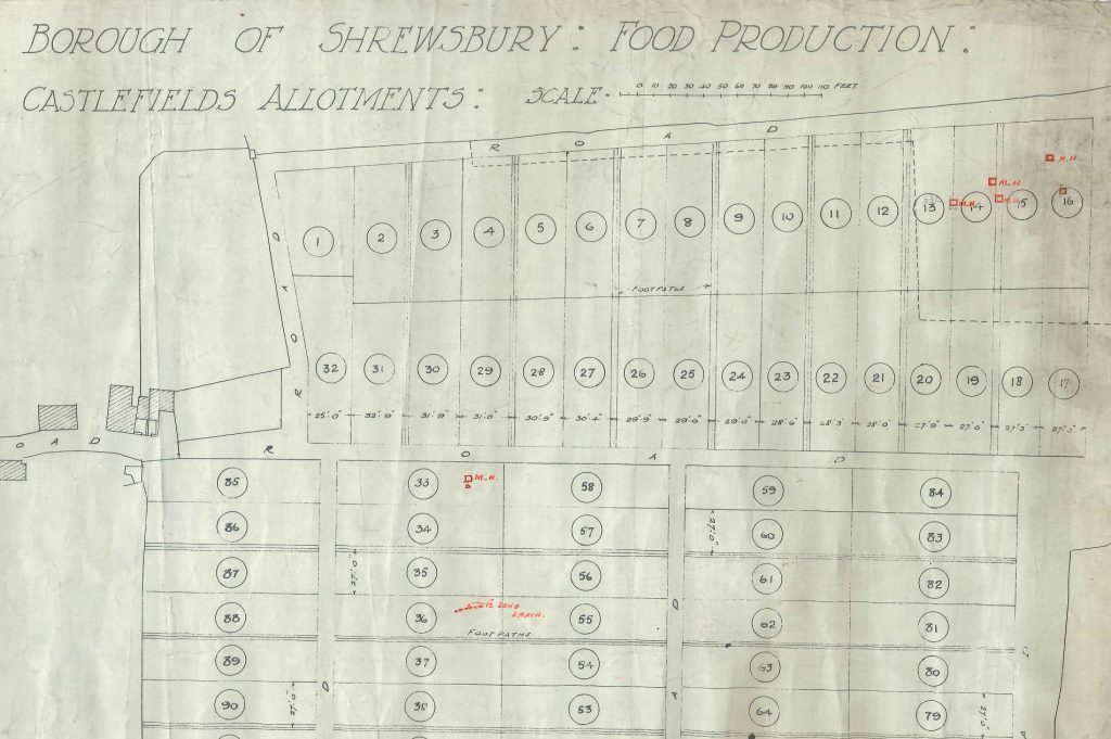Plan for Castlefields Allotments, 1917. Shropshire Archives ref. DA5/790/317