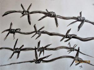 Barbed wire